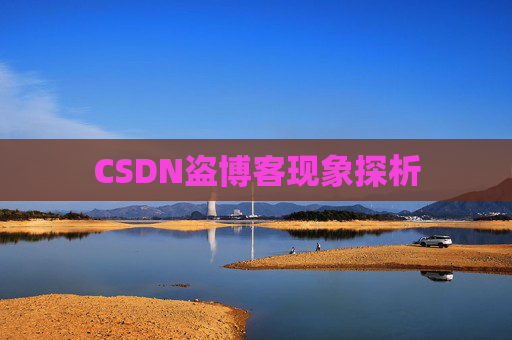 CSDN盗博客现象探析